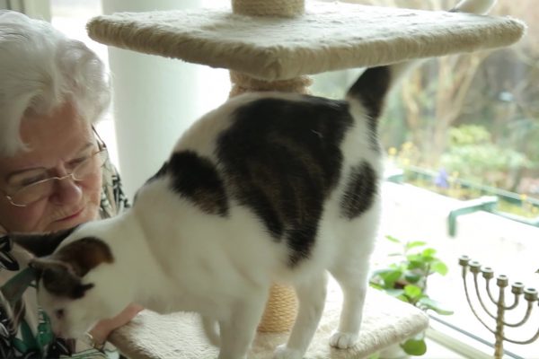 70 jaar diabetes- Jits en haar kat